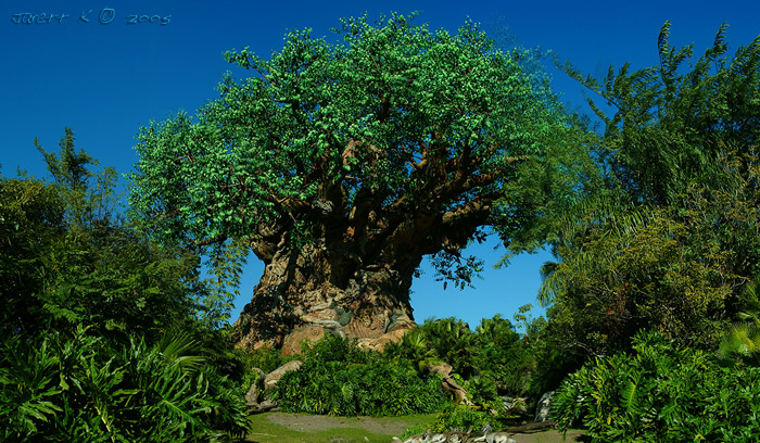 websize_AK_Tree_Of_Life.jpg
